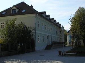 Dom